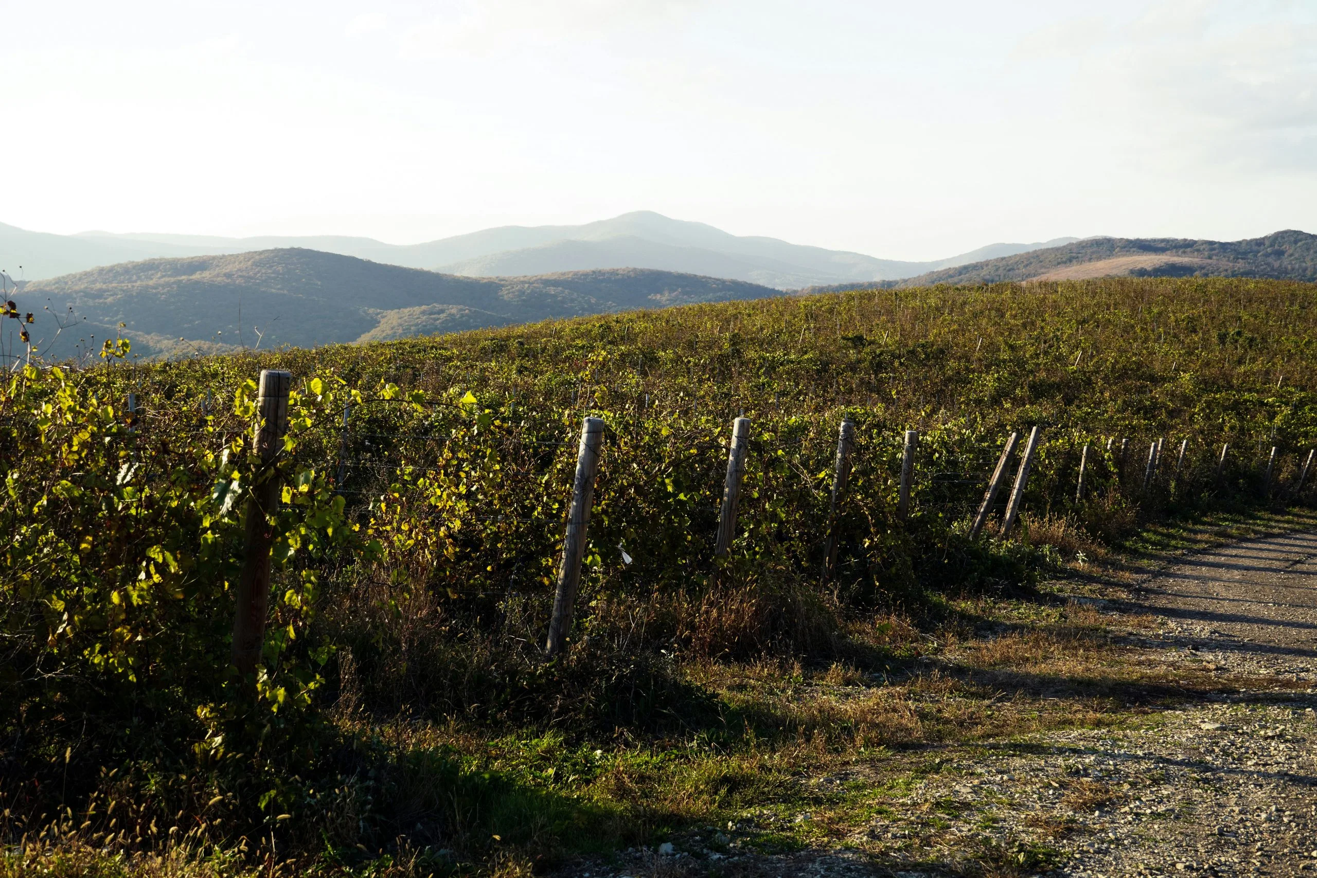 Tuscany Soil & Tradition