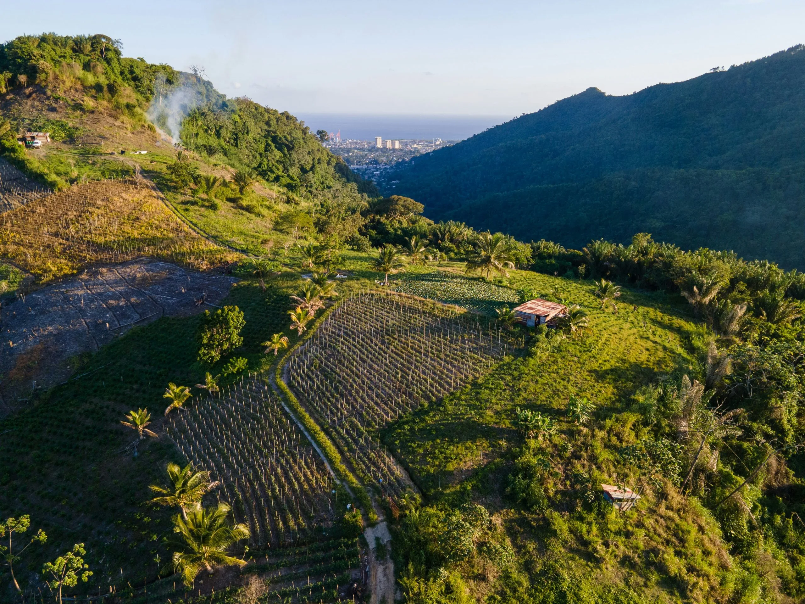Tuscany Vineyards