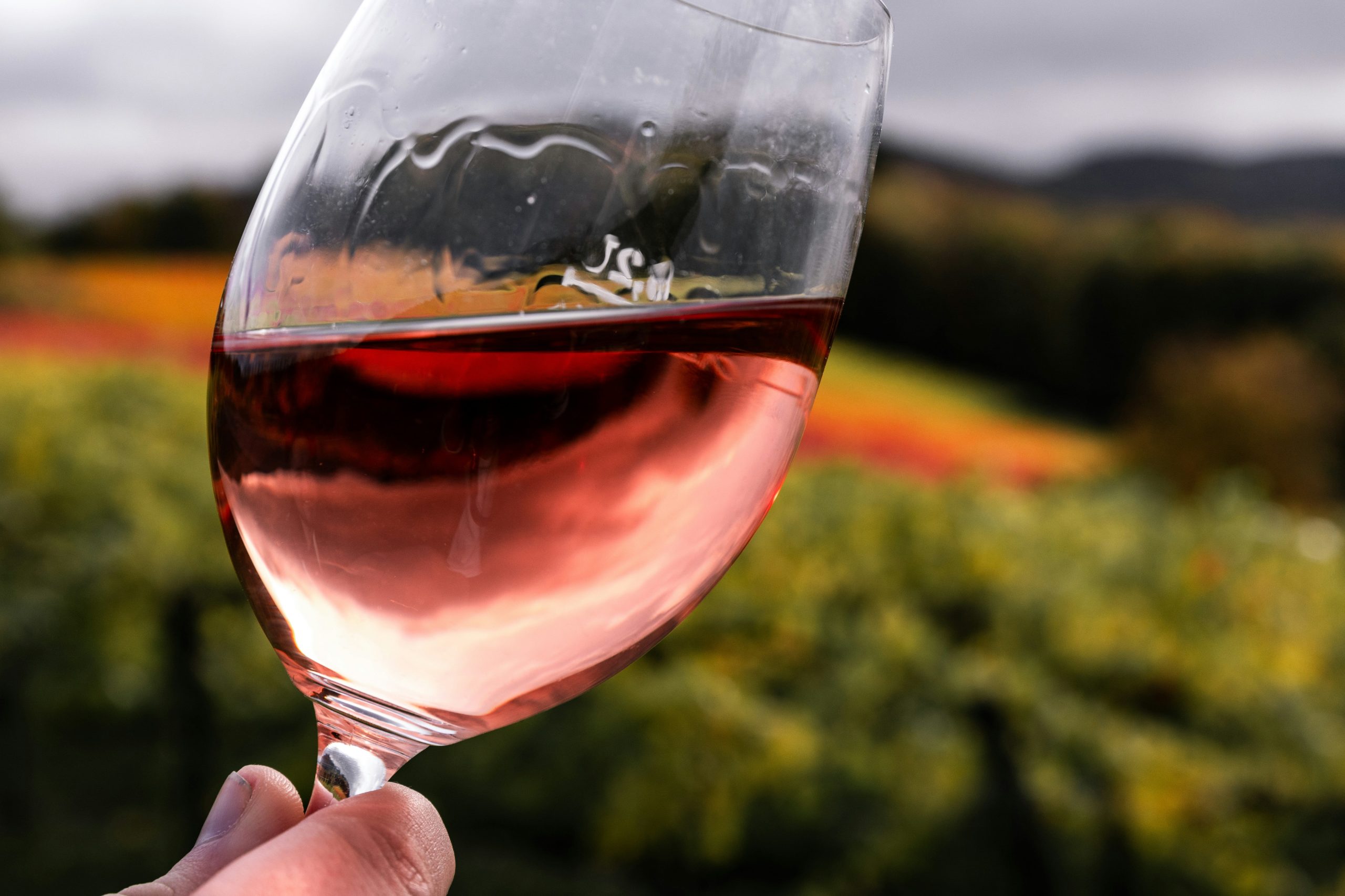 Rose Wine France Gascony